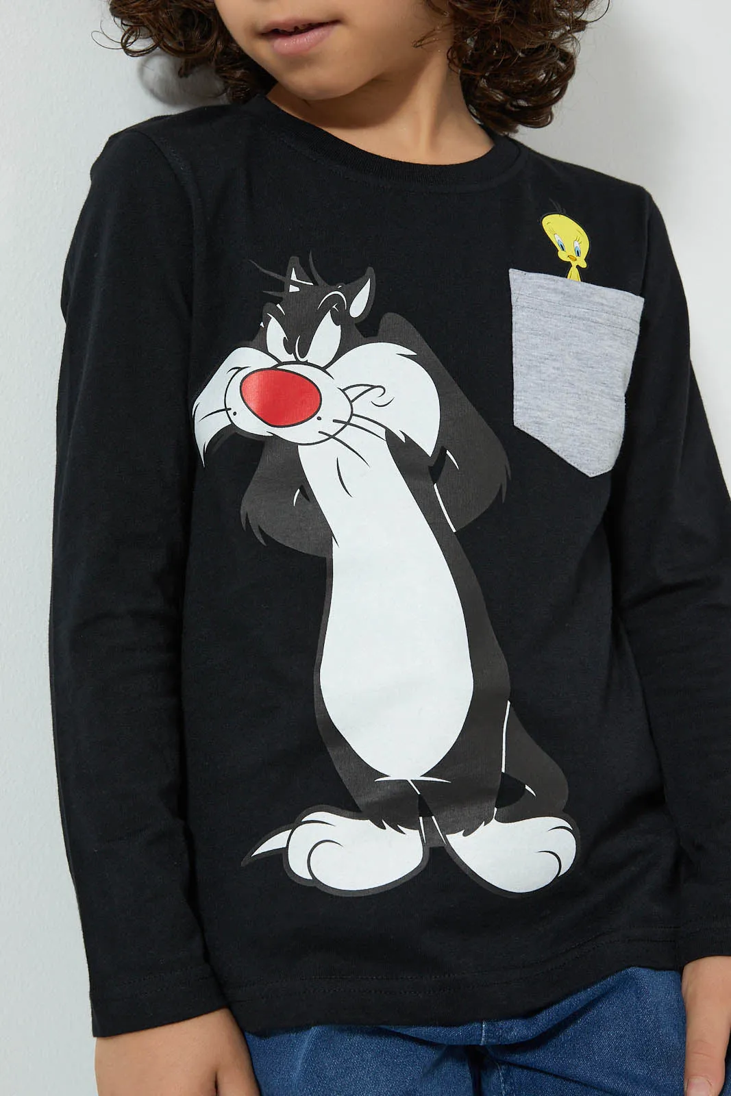Black Tweety And Sylvester T-Shirt