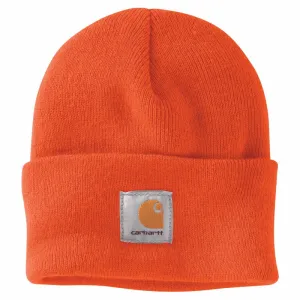 Carhartt Acrylic Watch Hat - A18 BOG