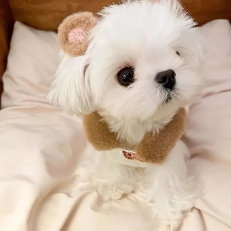 Cozy Dog Winter Coat
