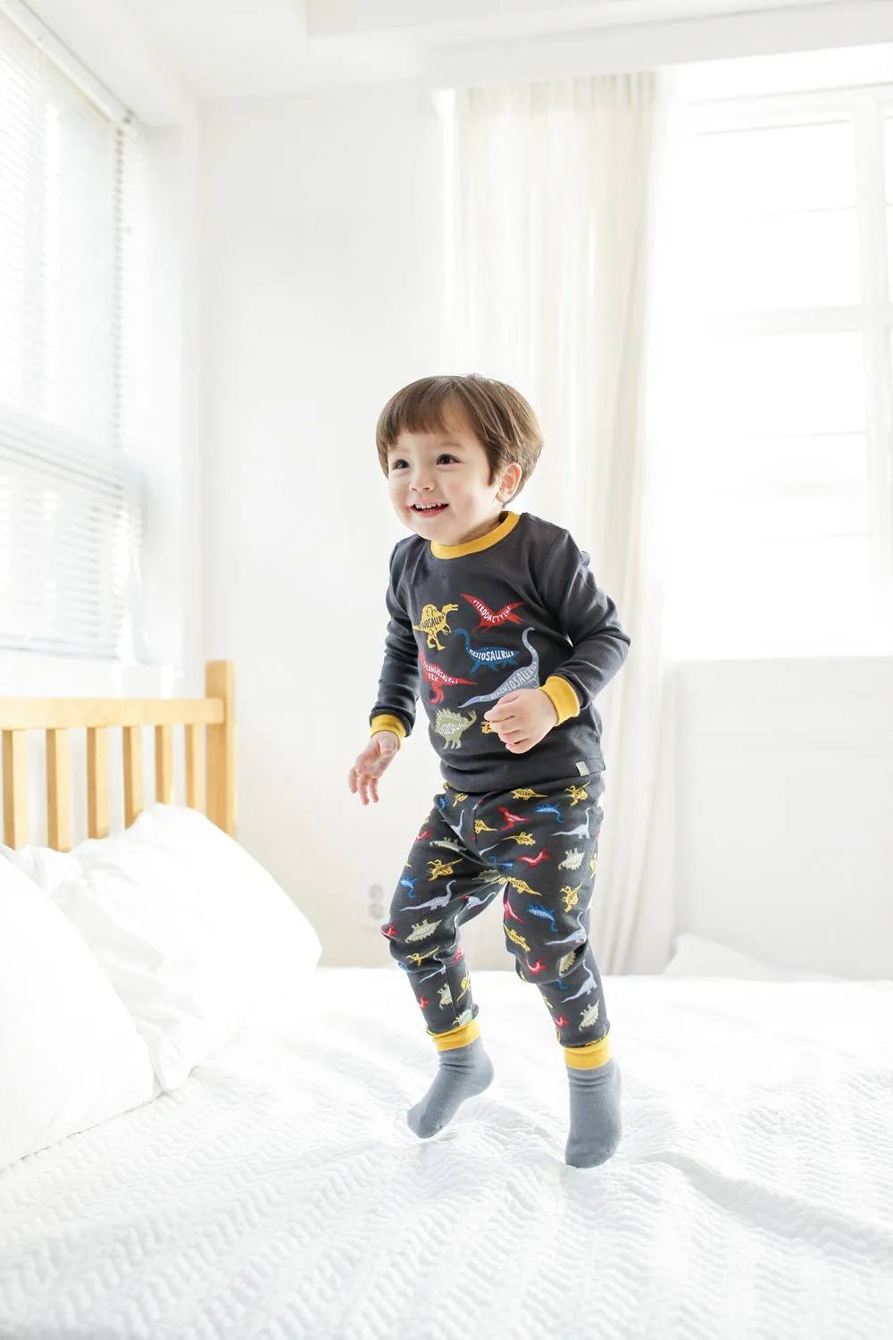 Dinosaur Charcoal Long Sleeve Pajamas