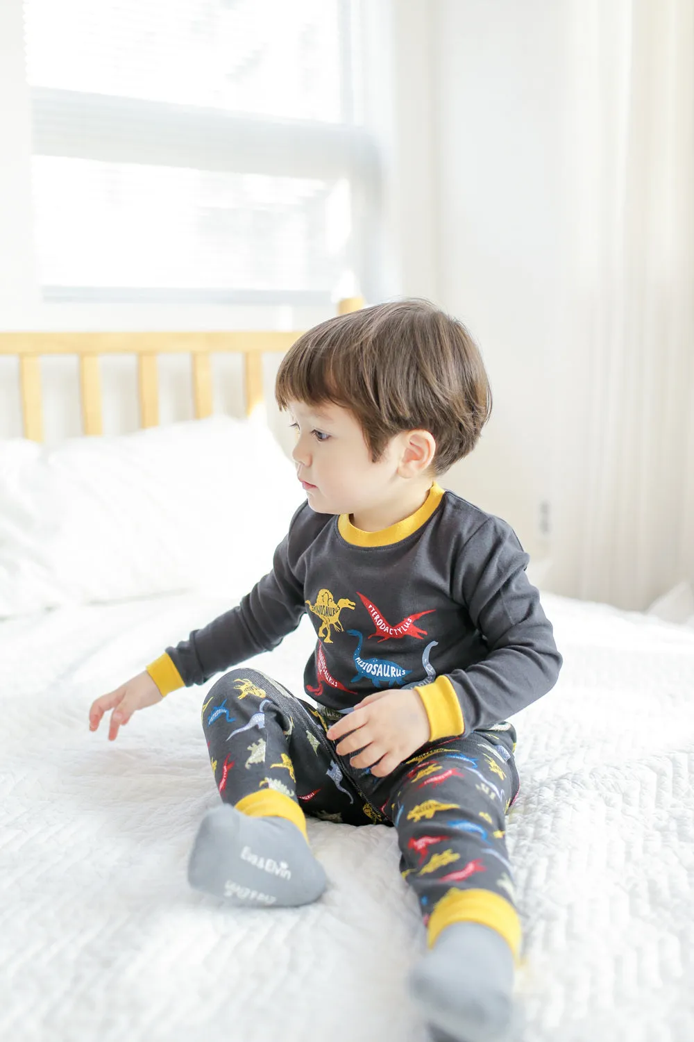 Dinosaur Charcoal Long Sleeve Pajamas