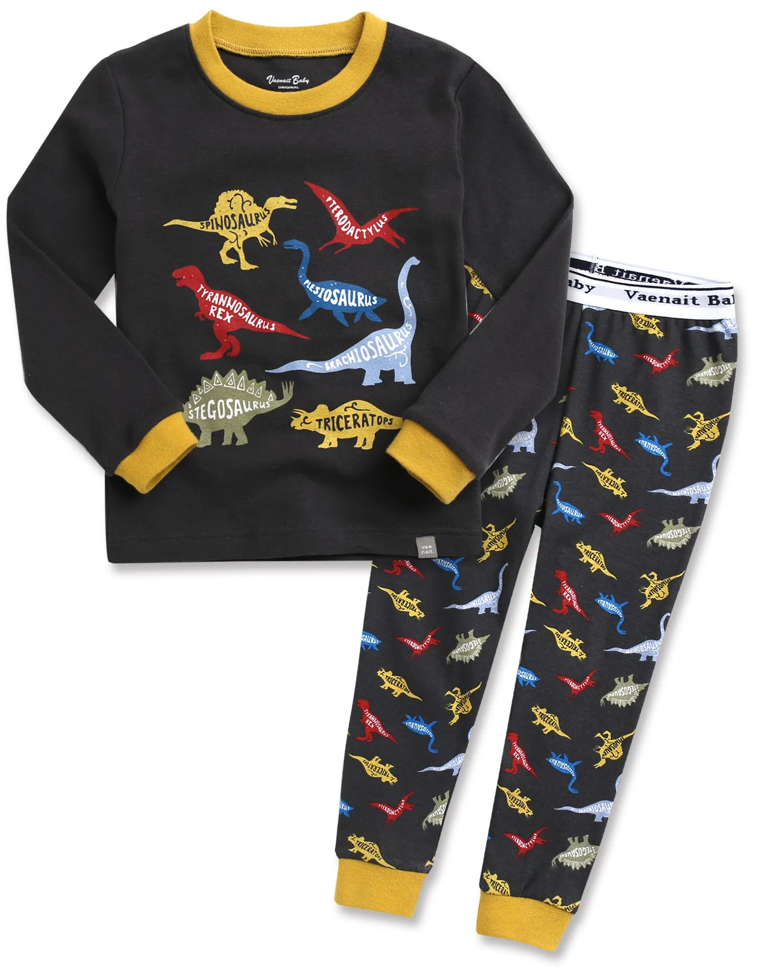 Dinosaur Charcoal Long Sleeve Pajamas