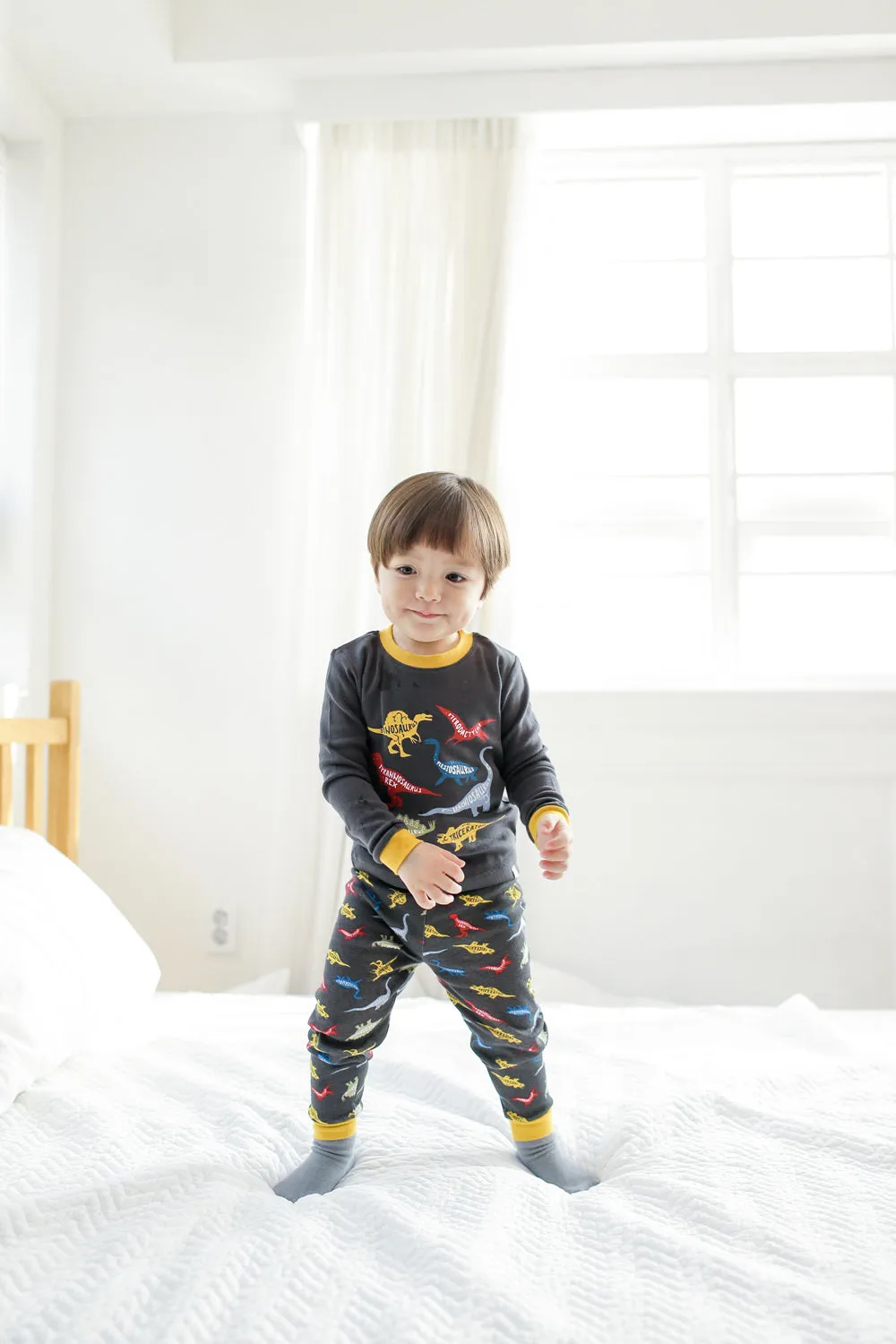 Dinosaur Charcoal Long Sleeve Pajamas