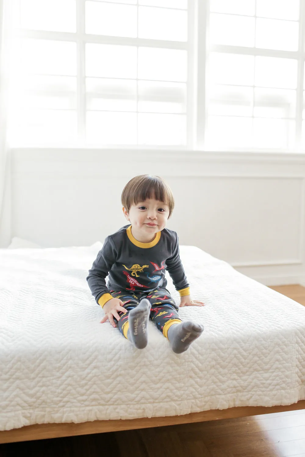 Dinosaur Charcoal Long Sleeve Pajamas