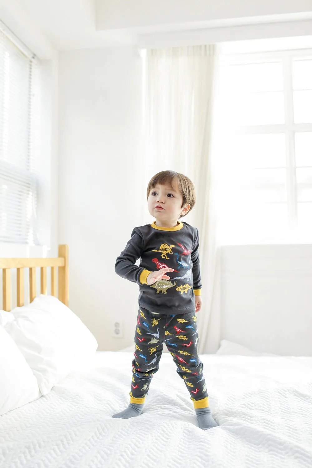 Dinosaur Charcoal Long Sleeve Pajamas
