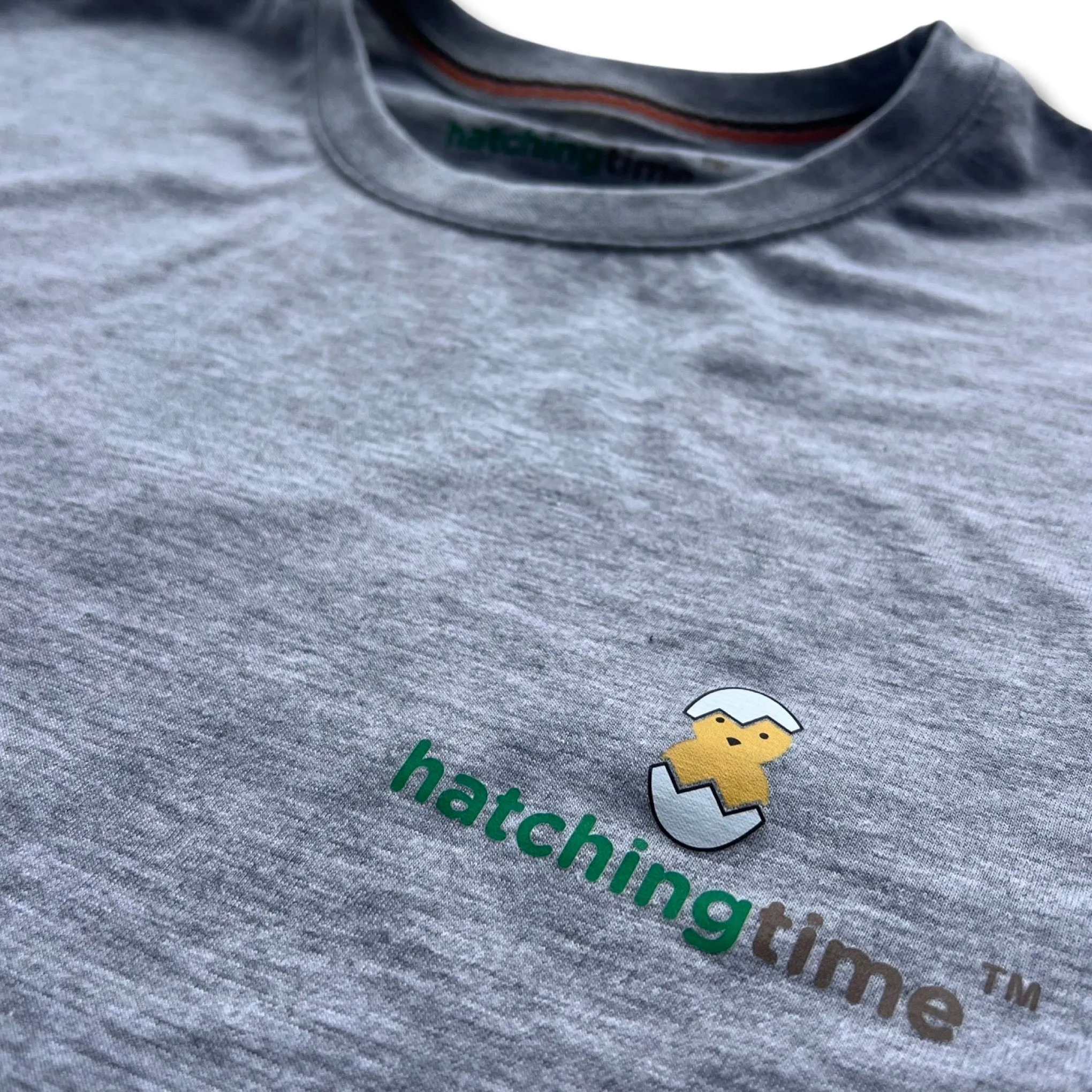 Hatching Time Unisex Long Sleeve Shirt (Gray)