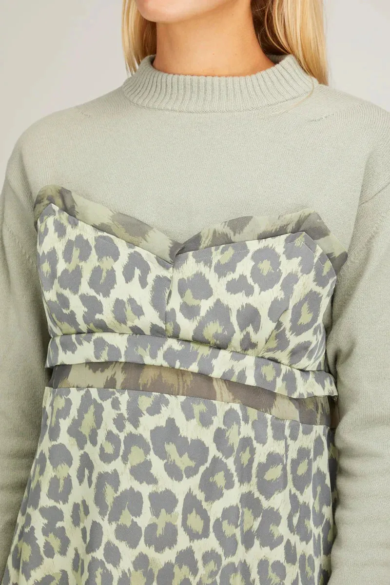 Leopard Print Long Sleeve Dress